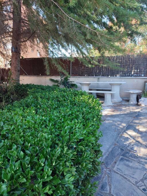 شقة Duplex Con Piscina En روبي المظهر الخارجي الصورة